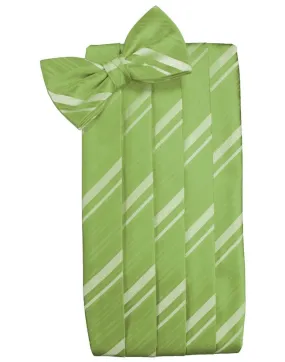 Clover Kids Striped Satin Cummerbund