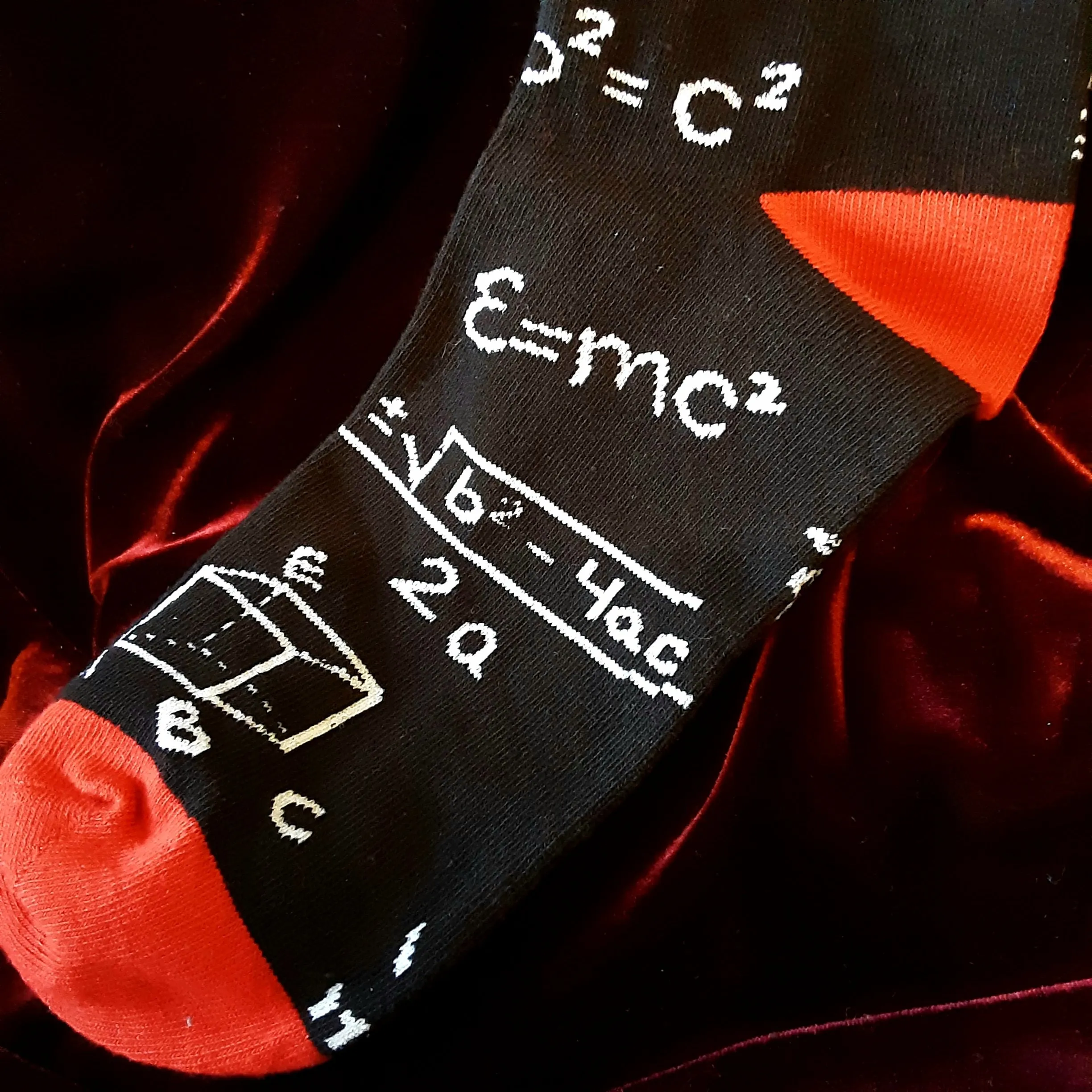 Mathematician's / Scientist's Men's Socks