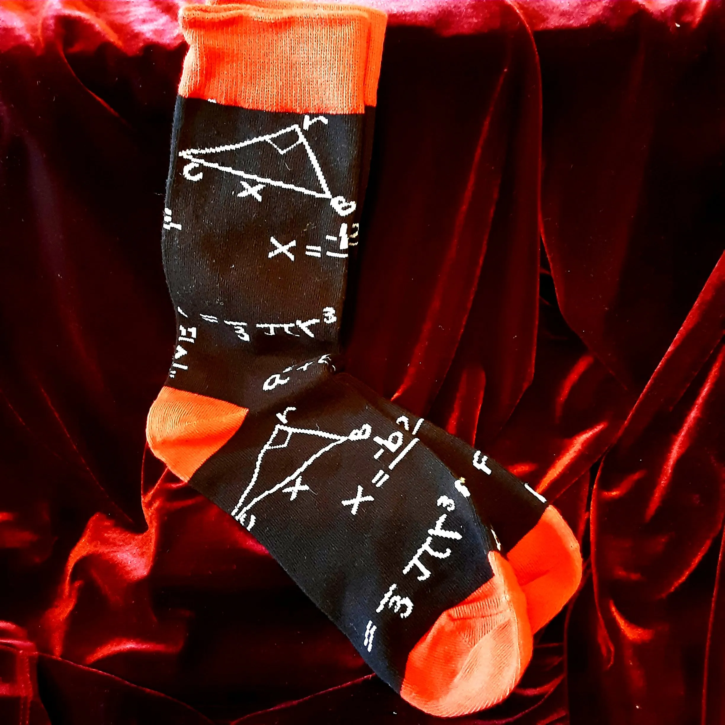 Mathematician's / Scientist's Men's Socks