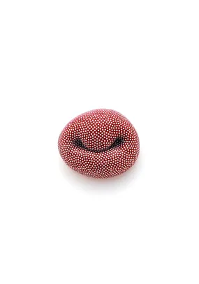 Red Smile Brooch