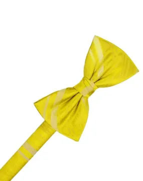 Sunbeam Striped Satin Kids Bow Tie