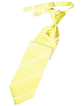 Sunbeam Striped Satin Kids Necktie