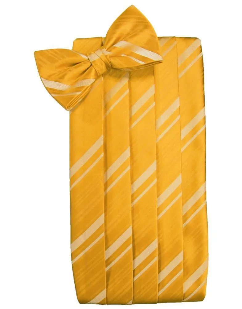 Tangerine Kids Striped Satin Cummerbund