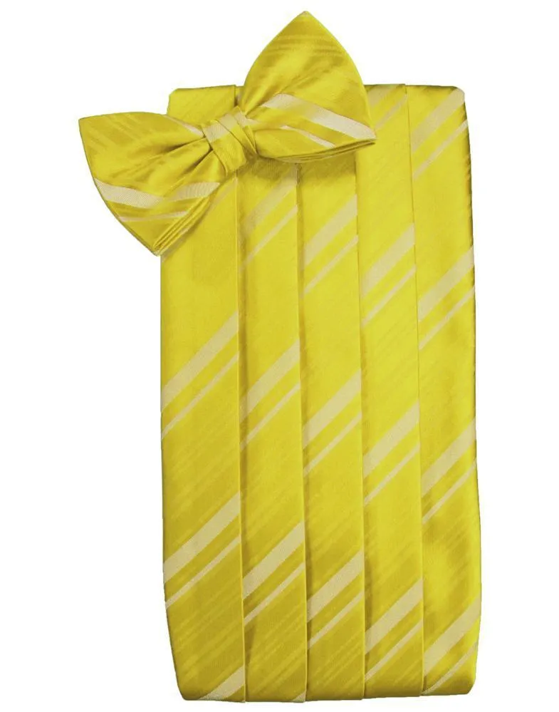 Willow Kids Striped Satin Cummerbund